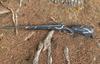 ibex-62.jpg
