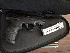 p22a.jpg
