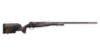 image5.png