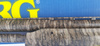 20221114_132954.jpg