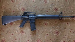 20220622_163831_(1).jpg