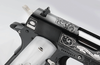 sk1911_3 (1).png