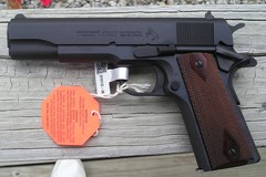 Hamer Classic 1.jpg