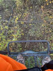 IMG_20231130_171020.jpg