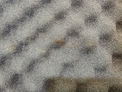 20240713_144003.jpg