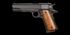 51420 1911 a1 gi standard duracoat fs 45acp leftprofile