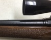 IMG_3129.jpeg