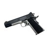 kimber-night-guard.jpg