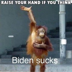 D1057CAF-7243-4AD9-8C8E-66FE22E7DE95.jpeg