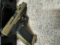 THE GUN ITSELF.jpg
