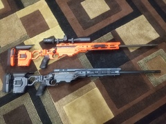 Cadex , Tika.jpg