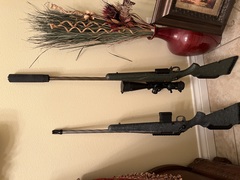 IMG_1246.jpeg