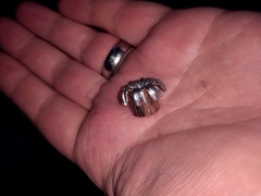 IMG_20210529_222758049.jpg