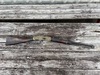 IMG_8763.jpg